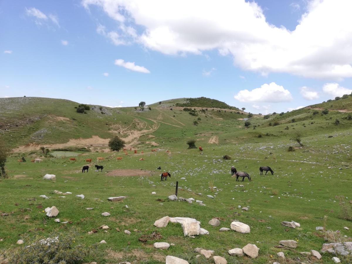 Olympus Country House Karia  المظهر الخارجي الصورة
