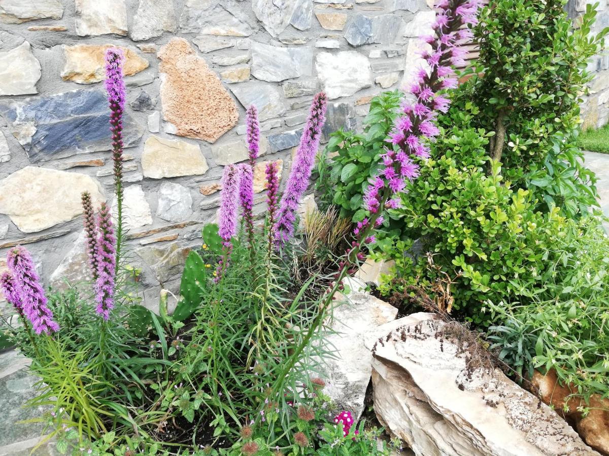 Olympus Country House Karia  المظهر الخارجي الصورة